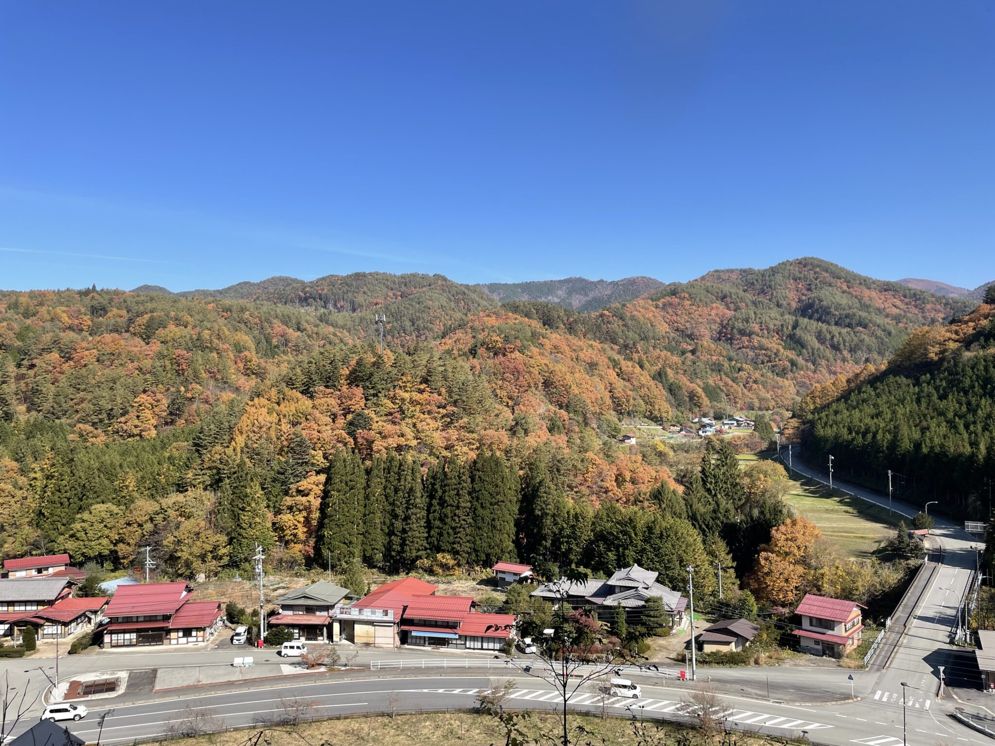 岐阜県高山市の紅葉♪